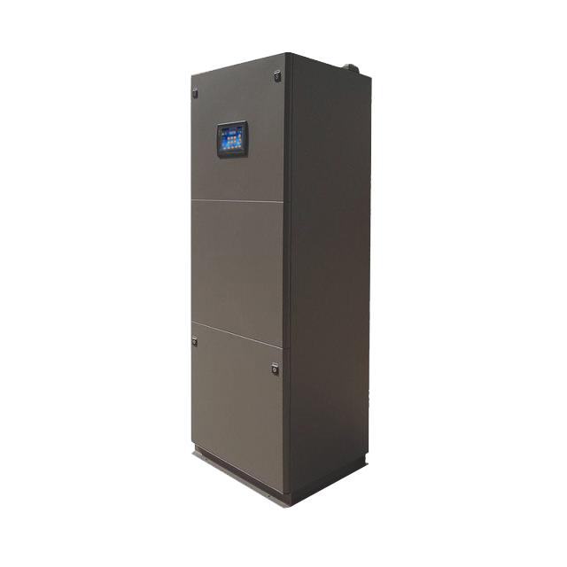 �C�����üӝ���